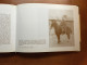 Delcampe - Fotoboek Met Oude Foto’s Van AALTER En Omgeving - Encyclopedieën