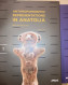 Anthropomorphic Representations In Anatolia Archaeology Anatolia - Oudheid