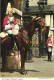 LONDON, LIFE GUARDS, WHITEHALL, HORSE, ARCHITECTURE, UNITED KINGDOM - Whitehall