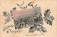 Glückliche Neujahr Bern 1908 Stechpalme Houx - Berna