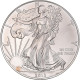 Monnaie, États-Unis, 1 Dollar, 1 Oz, 2013, Philadelphie, SPL, Argent, KM:273 - Zilver