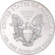 Monnaie, États-Unis, 1 Dollar, 1 Oz, 2013, Philadelphie, SPL, Argent, KM:273 - Silber