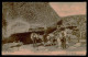 SERRA DA ESTRELA  -COSTUMES - Uma Caravana No Fragão Do Ronca. (Ed.Pap. Borges Col. D 70) Carte Postale - Guarda