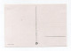 !!! AOF CARTE MAXIMUM OISEAUX 100 F DE POSTE AERIENNE CACHET DE NIAMEY DU 2/3/1960 - Cartas & Documentos
