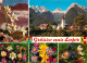 Austria Lofer Mountain Flowers - Lofer