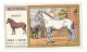 ANIMAUX A COLORIER - LE CHEVAL  - On Trouve Chez Son épicier Le CHOCOLAT RÉVILLON .....Chocolats MYDIA à Croquer - Revillon