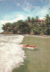 TRINIDAD - SURFING ON BACOLET BEACH - COPYRIGHT NORMAN PARKINSON  REF #117 - 1968 - Trinidad