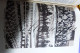 Delcampe - 50 Jahre Millionsfreunden  Gesellshaft Des Gôttlichen Wortes 1875-1925 Chine Japan Nord Sud America... - Colecciones Y Lotes