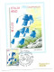 Italia, Italy, Italien, Italie 2001; Ambiente E Natura. Serie Completa Di 4 FDC E Anche Maximum Card. - Protection De L'environnement & Climat