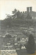 HAMPTON COURT - Les Jardins, Carte Photo Vers 1900. - Herefordshire