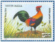 India 1996 XX World Poultry Congress, New Delhi (Red Jungle Fowl Cockerel) Bird, Full Sheet MNH (**) Inde Indien - Unused Stamps