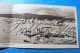 Serie TRUYOL Mallorca Puerto De Palma Carte Double Panorama - Mallorca