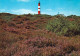 1 AK Germany * Leuchtturm Auf Der Nordfriesischen Insel Amrum, Wenn Im Sommer Die Heide Blüht - Nordfriesland