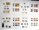 Delcampe - ONU 1951/92 Collezione Completa Con Bandella / Complete Collection With Tab MNH VF - Collezioni & Lotti