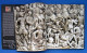 Rome: History And Treasures Of An Ancient Civilization 2006 - Fine Arts