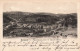 BELGIQUE - Esneux - Panorama Vers Le Rond-Chêne - Carte Postale Ancienne - Esneux