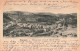 BELGIQUE - Esneux - Panorama Vers Le Rond-Chêne - Carte Postale Ancienne - Esneux