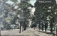 A.059 - Southampton - The Avenue - 1908 - Southampton