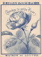 Image        49         Devinette  .Maison Du Louvre  Niort  Fleur. Cherchez La Petite Rose      11x8.5    (voir Scan) - Autres & Non Classés