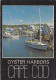 AK 174403 USA - Massachusetts - Cape Cod - Oyster Harbors - Cape Cod