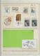 Delcampe - LOT Arbres & Bois - Lots & Collections - Les Conifères (Ex. Collection Fuchs), Sur 59 Feuilles D'exposition (incomplète) - Árboles