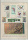 Delcampe - LOT Arbres & Bois - Lots & Collections - Les Conifères (Ex. Collection Fuchs), Sur 59 Feuilles D'exposition (incomplète) - Trees