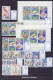 Delcampe - LOT Sports - Lots & Collections - Collection En 3 Albums, Timbres Neufs ** Et Oblitérés - Otros & Sin Clasificación