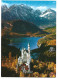 ROYAL CASTLES NEUSCHWANSTEIN AND HOHENSCHWANGAU.- BAVARIA.-  ( ALEMANIA ) - Hoechstadt