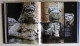 Delcampe - The Maya: History And Treasures Of An Ancient Civilization 2006 - Bellas Artes