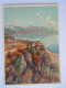 Cpsm Suisse Rochers De Rivaz (Lake Geneva) Tableau Edition Stehli - Rivaz