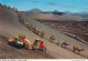 Spain PPC Camels On Lanzarote, Canary Islands LAS PALMAS 1977 Denmark Miguel Servet Stamp (2 Scans) - Lanzarote