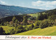 Austria PPC Erholungsort 2870 St. Peter Am Wechsel ASPANGBERG 1980 To Denmark (2 Scans) - Neunkirchen