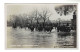DH1624 - BERKSHIRE - BRIDGE ROAD - MAIDENHEAD - CATTLE ON FLOODED ROAD - "BILL SERIES"  - Other & Unclassified
