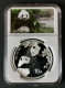 China 2023 Coins 10 Yuan China Panda Silver Coin 30g RMB - Chine