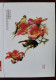 Kapok And Silver Ear Acacia Bird,CN 11 Popularization Of Science Painter Flower And Bird Painting PSL,specimen Overprint - Mussen