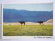 Cpm Greetings From Mongolia Mongolie Camel Kameel Chameau - Mongolië