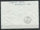 RUSSLAND RUSSIA 1993 O 25.11.1994 VLADIVOSTOK Philatelic Cover With Local OPT Stamps To Leningrad (o 29.11.1994) - Lettres & Documents