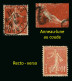 FRANCE - VARIETE - YT 138 - SEMEUSE - ANNEAU LUNE Et RECTO VERSO - 2 TIMBRES OBLITERES - Oblitérés