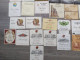 LOTTO ETICHETTE VINI ITALIANI DEL FRIULI TALIAN VINE LABELS - Collections & Sets