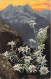 FLEURS  PLANTES ARBRES - Fleurs - Des Fleurs Dans Les Rochers - Colorisé - Carte Postale Ancienne - Flores