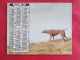 Delcampe - LOT 11 CALENDRIERS ALMANACHS  De 1983 à 2007 LAVIGNE OBERTHUR Sur La  CHASSE Et La  PÊCHE - Grossformat : 1981-90