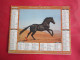 Delcampe - LOT DE 8 CALENDRIERS ALMANACHS  De 1992 à 2012 LAVIGNE OBERTHUR OLLER CHEVAUX - Grand Format : 1991-00