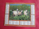 Delcampe - LOT DE 8 CALENDRIERS ALMANACHS  De 1992 à 2012 LAVIGNE OBERTHUR OLLER CHEVAUX - Grand Format : 1991-00