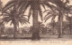 FRANCE - Nice - Le Jardin Public - Les Palmiers - LL - Carte Postale Ancienne - Parks, Gärten