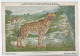 CP : Institut Royal Des Sciences Naturelles De Belgique - Mammiferes Du Congo Belge -  4 L'Hyène Tachetée (2 Scans) - Colecciones Y Lotes
