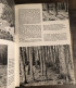 Delcampe - ENCYCLOPEDIE ILLUSTREE DE LA FORET - Grund - J. Janik 1980 - Encyclopédies