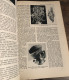 Delcampe - LA VIE DES ANIMAUX Par L. Bertin Professeur Musée Histoire Naturelle Tome 1 Larousse 1949 1036 Gravures 9 En Couleur - Enzyklopädien