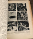 Delcampe - LA VIE DES ANIMAUX Par L. Bertin Professeur Musée Histoire Naturelle Tome 1 Larousse 1949 1036 Gravures 9 En Couleur - Enzyklopädien