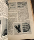 Delcampe - LA VIE DES ANIMAUX Par L. Bertin Professeur Musée Histoire Naturelle Tome 1 Larousse 1949 1036 Gravures 9 En Couleur - Encyclopédies