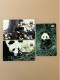 Hong Kong Telephone Phonecard, WWF China Panda, Set Of 3 Mint Cards With Folder - Hongkong